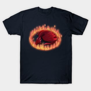 Sleeping Dragon T-Shirt